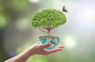 Go Green Movement